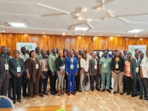 Côte d’Ivoire : la forêt disparaît, l&rsquo;on parle encore de “synergie”